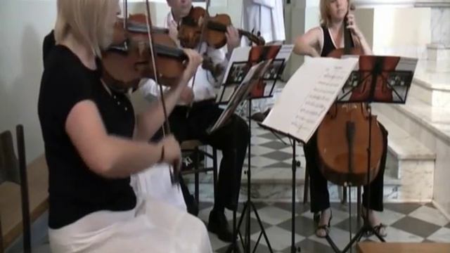 Muzyka na ślub - Richard Wagner Marsz weselny Hochzeitsmarsch