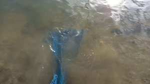 Рыбалка на окуня
