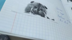 басик рассказывает про много чего