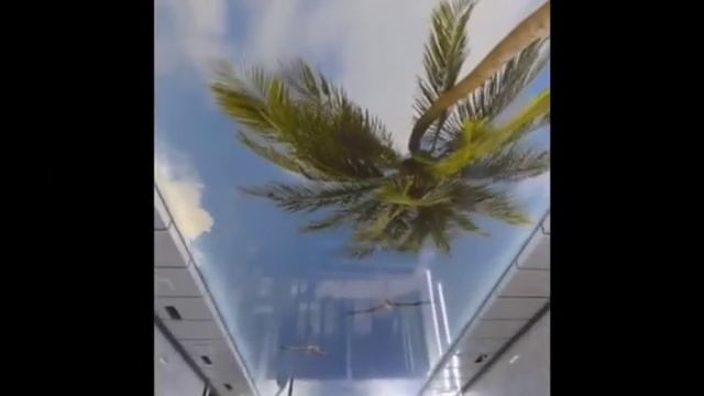 Натяжные потолки в Ташкенте по доступным ценам! Звоните +998995559939 смотреть онлайн