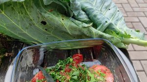 профилактика водянки брюшной полости у кур