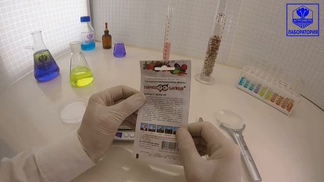 Кабачок цуккини Белогор. Поиск смотреть онлайн