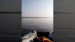 Тохатсу 9.8 на лодке ривьера 3200 СК