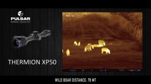 Pulsar Axion XQ38 vs Thermion XP 50 (English version)