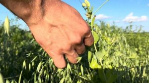 Каргопольский Уезд. Заброшенные деревни Архангельской области.