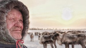 Жители леса - кто они? Откуда пришли их предки? Полиглоты Пура