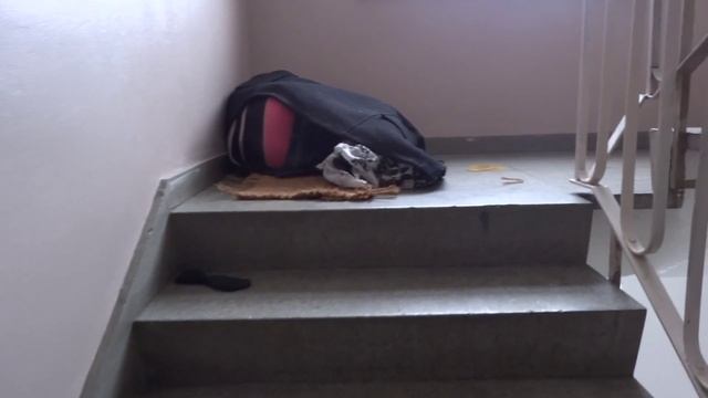 Бездомный спит в подъезде берлинского дома смотреть онлайн