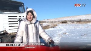 Рысь загрызла пса Бимку в частном доме читинцев