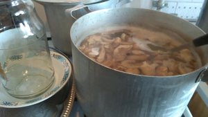 Грибы Грузди белые готовим на зиму.