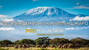 Восхождение на вершину Африки — Килиманджаро 5895 м.