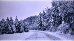 Кузьма Скрябин - З Новим роком i Рождеством(4K UltraHD)