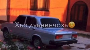 Хьа ши б1аьрг сун гале дуьйна😇