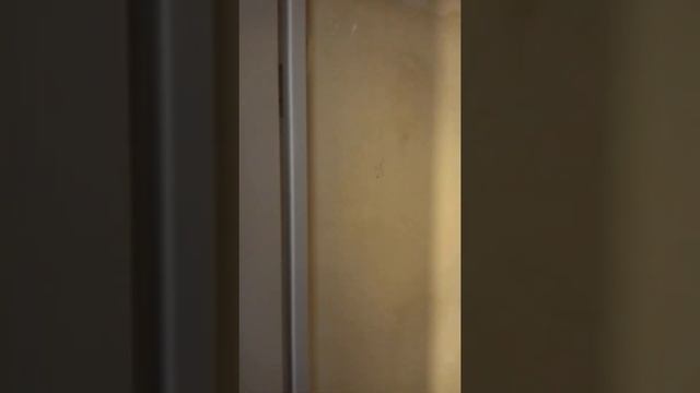 Установка межкомнатных дверей фабрики Океан, модель Дрезден. (Ч.4) смотреть онлайн