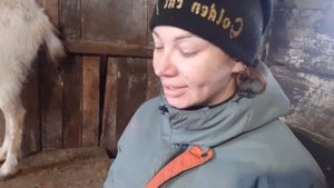 От вшей,волосоедов и глистов у коз Эпримек