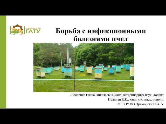 Борьба с инфекционными болезнями пчел. Пулинец Е.К. 2024г.