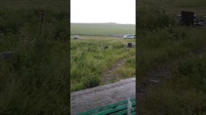 Халача xojabek