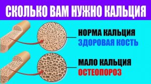 Кальций Суточная Норма Избыток Недостаток