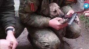 русские солдаты захватили в плен украинца и заставляют его принять присягу Российской Федерации.