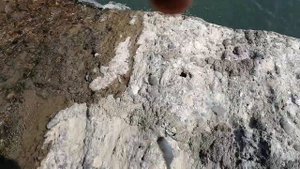 Рыбалка на реке Сочи (плотва)