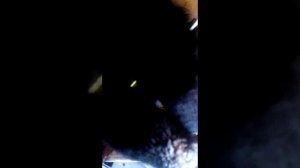 Иж юпитер 5+ снегоход буран