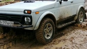 весенние поездки в лес начало сезона