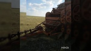 Подборка сена Тогонрогом ПВ 6