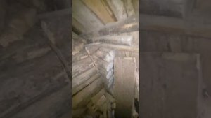 О Чепыше В Сарае