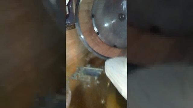 Витрина для шиншиллы своими руками/ смотреть онлайн