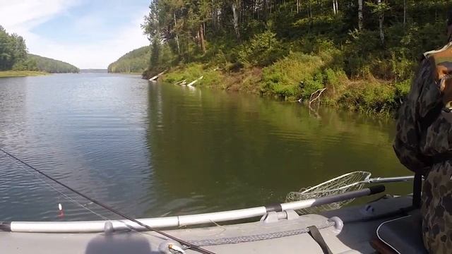 Щука и окунь за один заброс на спиннинг.Рыбалка на КВХ с батей.Красноярское водохранилище спиннинг смотреть онлайн