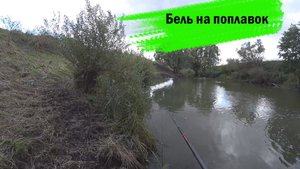 Ловля белой рыбы на Оке на поплавочную удочку в ветренную погоду (2021)