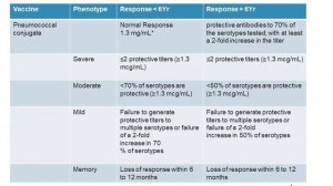 Primary Antibody Deficiency