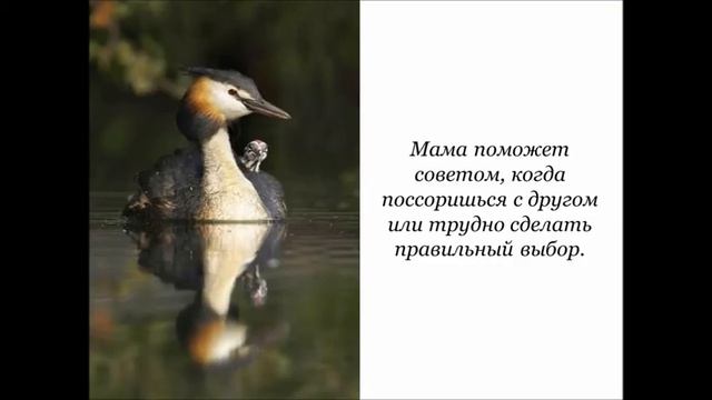 Мама…Первое слово, главное слово в нашей судьбе смотреть онлайн