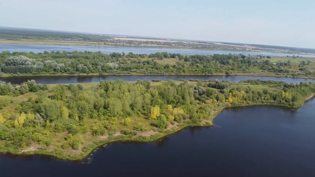 сарапул воложка лесокомбинат