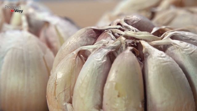 УКРУПНЯЕМ ГОЛОВКИ ЧЕСНОКА В ИЮНЕ! ПОЛЕЙТЕ ТАК ЧЕСНОК В ИЮНЕ И УРОЖАЙ ВАС ОЧЕНЬ ПОРАДУЕТ УРОЖАЕМ !