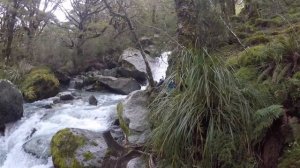 Остров Зеленых Вод - поход в Южные Альпы Новой Зеландии - Queenstown & Five Passes tramp