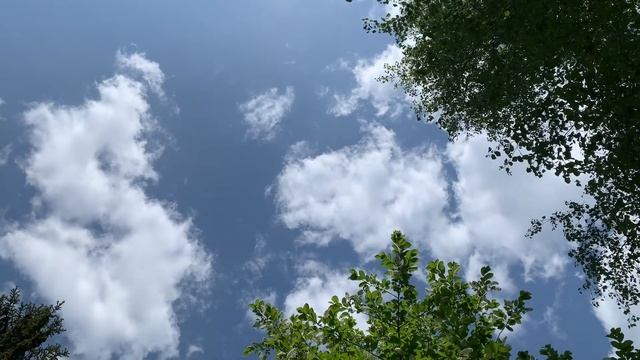 Молитва о финансовом благословении смотреть онлайн