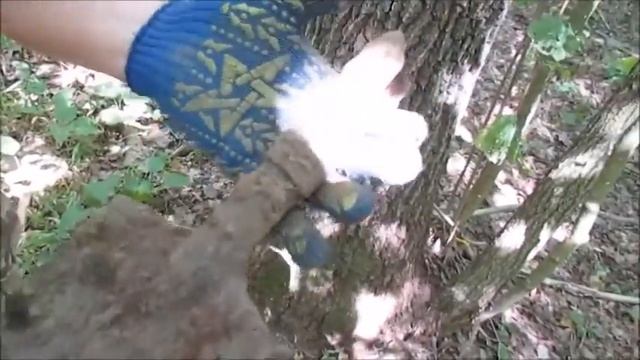 ЛЕСНОЙ КОП. ВСПОМИНАЕМ ЛЕТО. смотреть онлайн