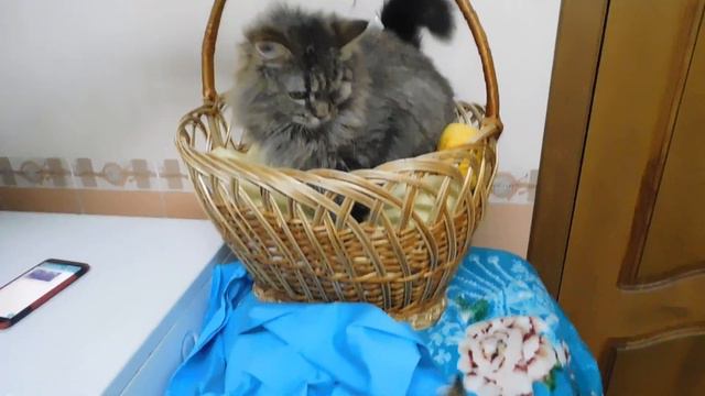 Письмо от Виты