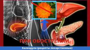 Календула рецепты для крепкого здоровья (ТОП13)| Календула в народной медицине