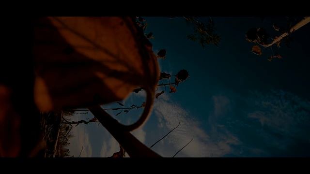 Жужа или машина для нищеброда за 50.у.е., часть #2. заз 968м