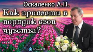 Оскаленко А.Н. Как привести в порядок свои чувства?