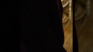 платье из бархата , японский крой