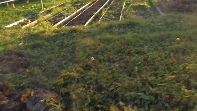 Затопило погреб! Исправляем ошибки. смотреть онлайн