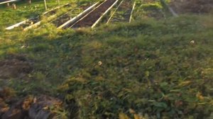 Затопило погреб! Исправляем ошибки.