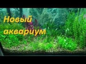 Плюс один новый аквариум! Очередная высадка растений. (Архив от 1.12.2021)