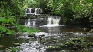 Forest Nature Sounds Relaxing Waterfall-Birds Chirping Sleeping Sound-Water & Birdsong Meditation