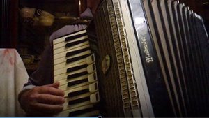 Аккордеон - "по дону гуляет казак молодой"