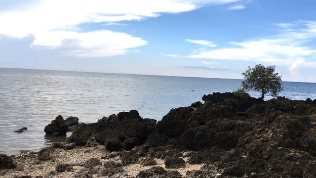 Участки на берегу. Суп с фрикадельками, русские котлеты на филиппинах смотреть онлайн