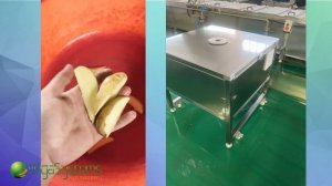 Нарезка тыквы, картофеля (по-деревенски) и других овощей на дольки Vega Dicer Village Potatoes