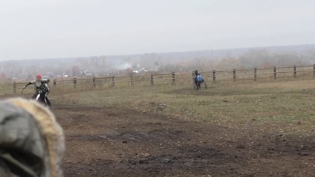 АЧИНСК - СКАЧКИ НА ИППОДРОМЕ 10.10.2015г.